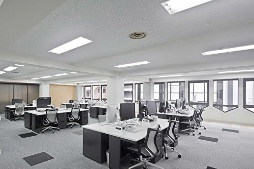 Luxrite F54T5/841/Ho 54W 46 Inch T5 Fluorescent Tube Light Bulb, 4100K Cool White, 4200 Lumens, G5 Mini Bi-Pin Base, Lr20770, 12-Pack #TOP3