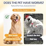 30ml Zeckenschutz für Hunde und Katzen, Effektiver Floh und Zeckenschutz mit Sofortwirkung, Einfache Anwendung mit Spot On, Ideal für Haushalt Pflege
