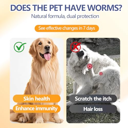 30ml Zeckenschutz für Hunde und Katzen, Effektiver Floh und Zeckenschutz mit Sofortwirkung, Einfache Anwendung mit Spot On, Ideal für Haushalt Pflege