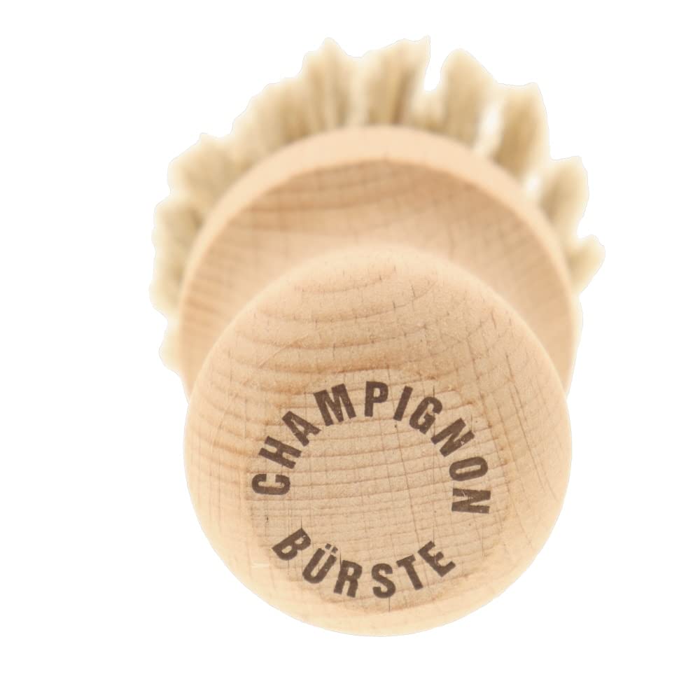 HOFMEISTER lot de 2 brosses à champignons en crin de cheval et bois de hêtre