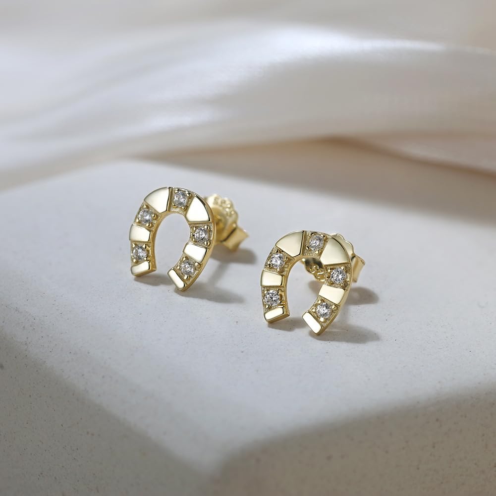LLXYWJ Zierliche -Ohrstecker aus Sterlingsilber mit CZ-Zirkonia für Frauen, minimalistischer Pferdeschmuck