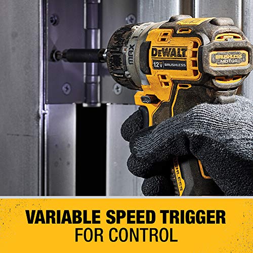 DEWALT XTREME 12V MAX Cordless Screwdriver, 1/4-Inch, 2-Ah Batteries (DCF601F2)