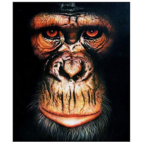 Nordique noir et blanc singe jungle animal gorille affiche et impression murale aquarelle jet d'encre toile peinture Fine Art Print maison -60x90 cm sans cadre