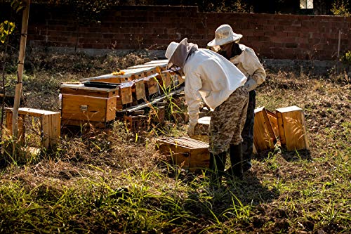 nectarvit PET Propolis Pulver - Die natürliche Wahl für die Gesundheit Ihres Tieres - 50 g