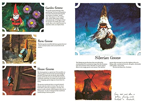 Gnomes originaux à offrir pour pendaison de crémaillère et fête - 4