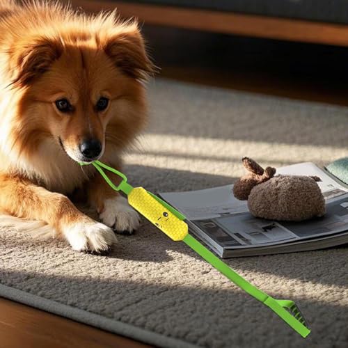 Corde pour chiens pour éducation avec accessoires dents en coton naturel
