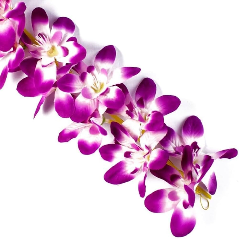 50+ Seeds- Hybrid Purple Orchid Flower Seeds- Grow Indoor & Outdoor- All Year (B0CZJVZ7LV) Amazon Price History, Amazon Price Tracker