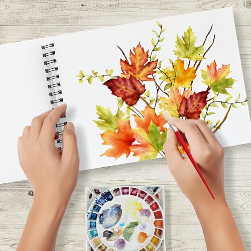 Image of Anupam Artists Watercolour Wire-O Book 200 GSM Cold Pressed A4 40 Pages for Watercolour, Gouache, Ink, Acrylic, Wet & Mixed Media, Art Painting, Drawing for Artists & Amateurs