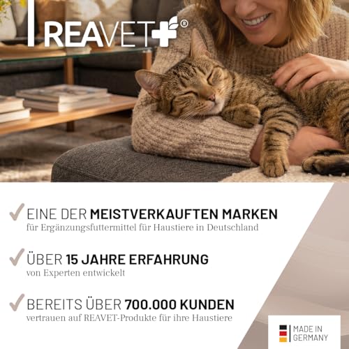 ReaVET Gelenk Complex Katzen 50g – Gelenkpulver mit Kollagen für Gelenke & Knorpel – Unterstützung der Beweglichkeit I Ergänzungsfuttermittel, Natürliche Gelenkunterstützung