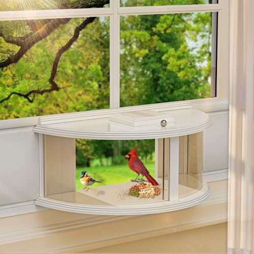 Window Bird Feeder for Viewing 180 Extra Large Capacity Clear View Window Tray Bird Feeder Fits Windows 31-41 Wide Durable Elegant Window Bird Feeder Inside House - Best Gifts for Bird Lovers