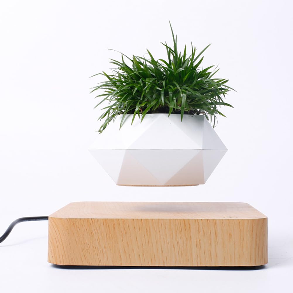 ZBOLI Bonsaï à air Flottant, Pot de bonsaï à Suspension à Rotation de Grain de Bois, Ornement créatif de Plante en Pot Rotatif à 360 °, Pot de Plante Flottant pour Petites Plantes, pour la décoration