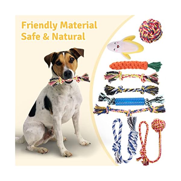 Dog Squeaky Toy for Puppy