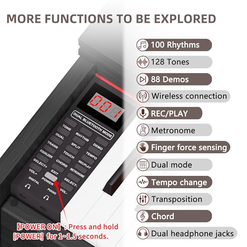 Professional 88-Key Weighted Hammer Action Digital Piano