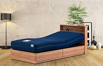 フランスベッド電動マットレス RP-2000BAE S フランスベッド 電動リクライニング マットレス RP-2000 BAE 【公式通販】