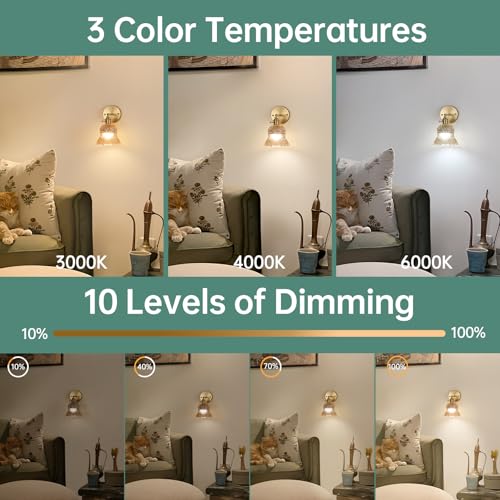 Image of Shenmoyl Vintage Battery Operated Wall Sconces Set of Two, Rechargeable Battery Powered Wall Sconce with Remote Control, Wireless Dimmable LED Light for Bedside Indoor Living Room (Amber Pineapple)