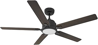 Smart Ceiling Fan with Lights, Indoor & Outdoor Ceiling Fan with Remote, 10 Speeds Smart Ceiling Fan Works with Alexa, Siri & Google, 52 Inch Modern Ceiling Fan with DC Motor, Black Ceiling Fan