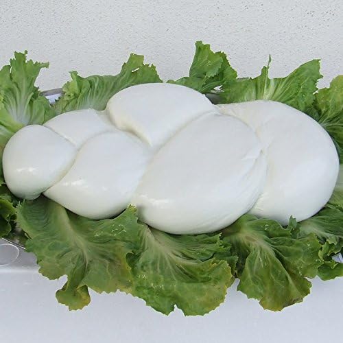 Treccione Mozzarella di Bufala (3 kg)