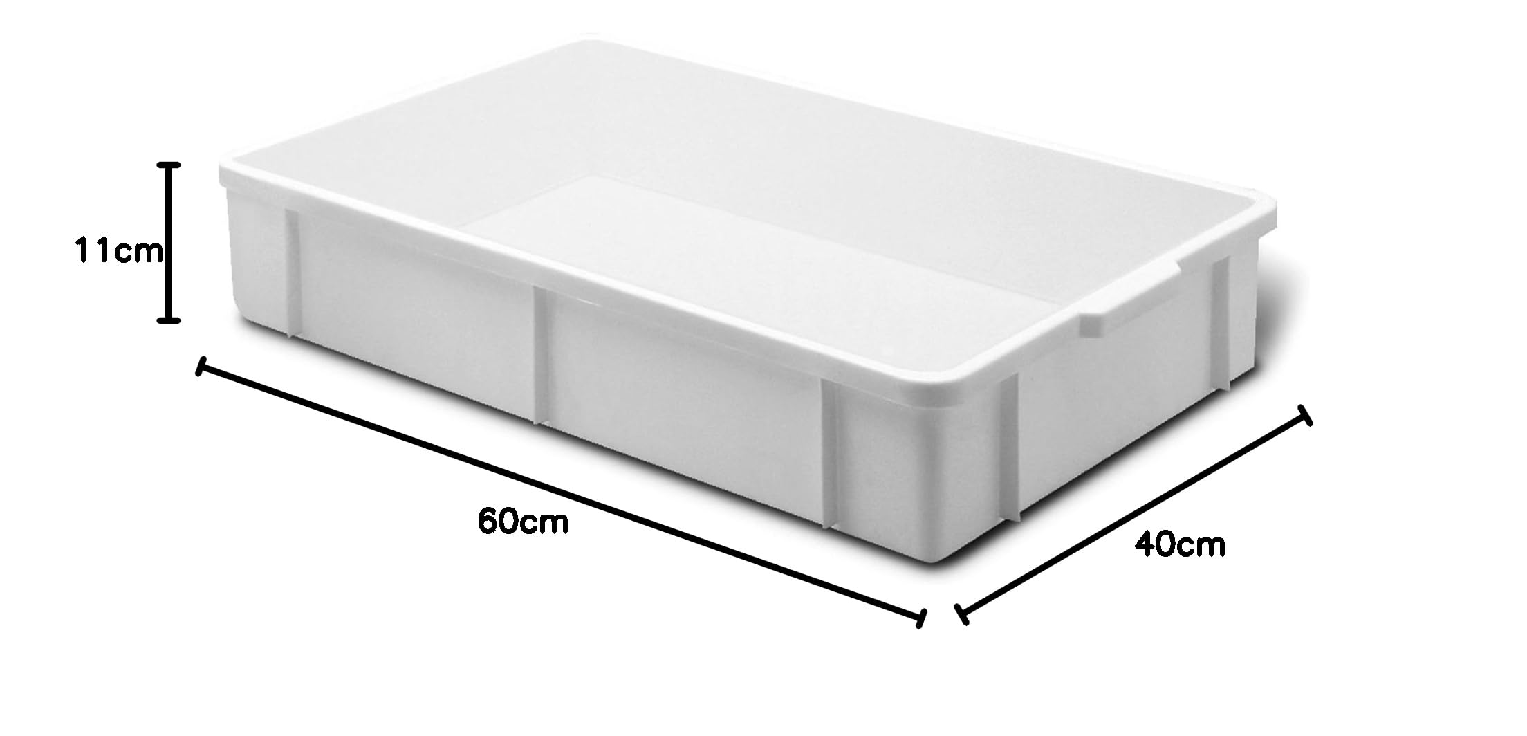 Giganplast Transport Bac pour Aliments, Plastique, Blanc, 60x40x11 cm (Lot de 2)
