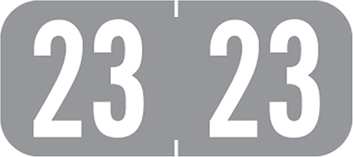 Doctor Stuff - Calcomanías de año 2023, serie compatible con pestañas de productos 1287, etiquetas de año de color gris para carpetas de archivos de