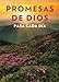 Promesas de Dios para cada d&Atilde;&shy;a / God's Promises for Every Day (Spanish Edition)