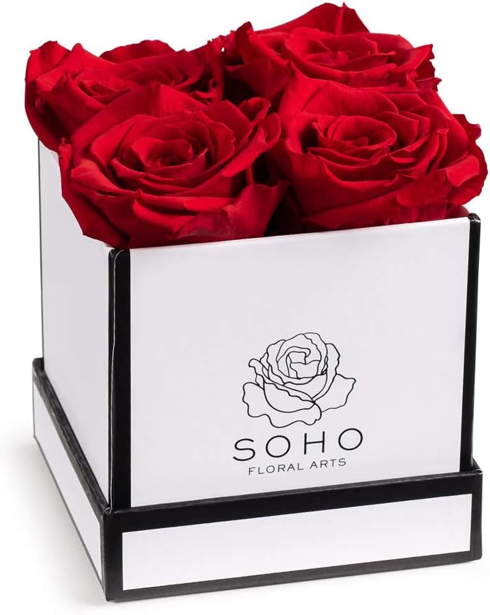Amazon.com : Forever Roses | 100% Real Preserved Roses, Fresh Flowers ...