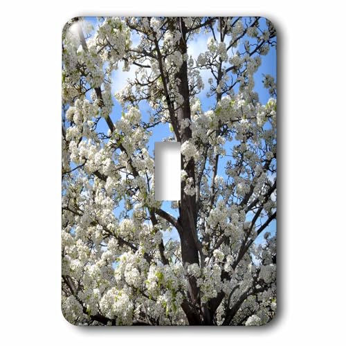 Interrupteur à baïonnette décoratif arbre en fleurs multicolore rustique