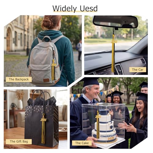 Image of GraduationMall Single&Multiple Color Graduation Tassel with 2026 Year Charm 9 inch