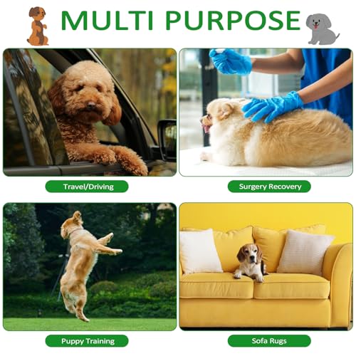 Dalephoric 3 Stück Hundewindeln für Rüden, Wiederverwendbare Hundewindeln, Größe L, Taillenumfang 50–62 cm, Rüdenwindel, Windeln für Männliche Hunde, Waschbar (Schwarz, Grün, Grau)