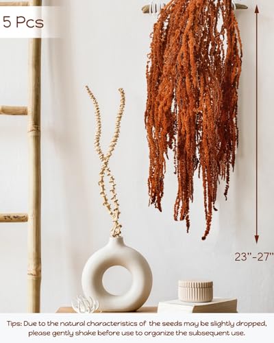 5 piezas de flores secas colgantes Amaranthus marrón miniatura 3