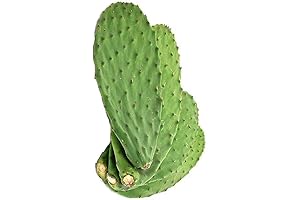 Fresh Nopales Mexicanos: The Spiny Superfood