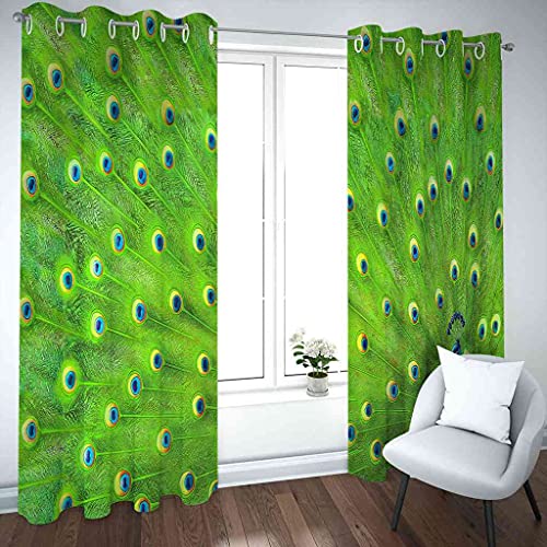 Rideaux occultants paon vert à oeillets isolants pour chambre enfant