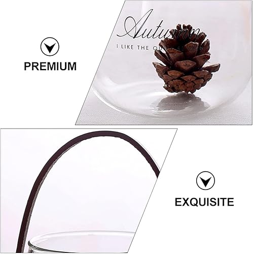 Miniatura 7 de FOMIYES Jarrón de vidrio hidropónico de vidrio, terrario de vidrio, tarro de almacenamiento de alimentos, terrario, plantas, jarrón hidropónico,