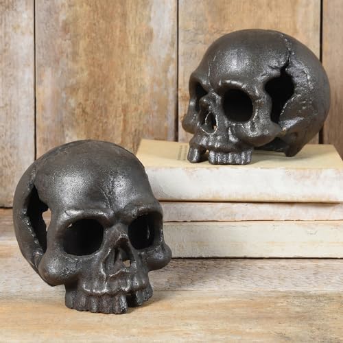 HomArt Skull, No Jaw by HomArt - Image 2