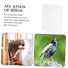 100Pcs Bird Cage Mats Disposable Absorbent Paper Liners for Parrot Cages Cushion Pads Soft Durable