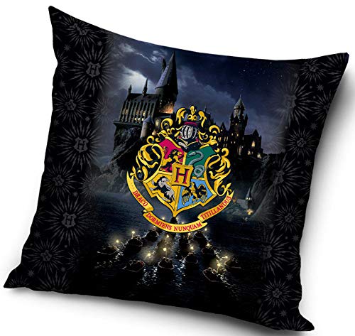 Federa Per Cuscino 40x40 Cm Con Design Senza Cornice, Idea Regalo Originale Per Uomo, Artigiani E Amanti Del Fai Da Te