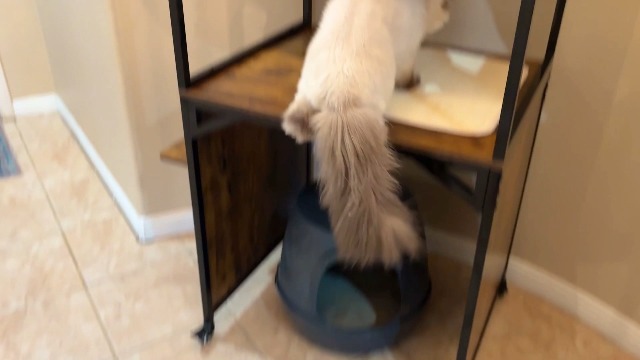 Torre para Gatos con Cajón para Arena y Rascador miniatura 7