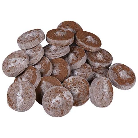 Windhager Pestañas de Fuente de Cultivo, Pastillas de Origen de Coco para Cultivo de esquejes, siembra, Tierra de Coco prensada Cover