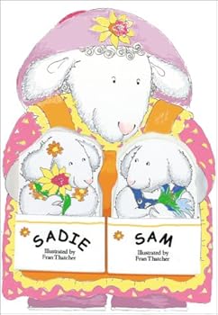 Hardcover The Big Storm (Cuddle-Ups) Book