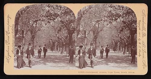 HistoricalFindings Photo: Government Avenue, Cape Town, South Africa 1901