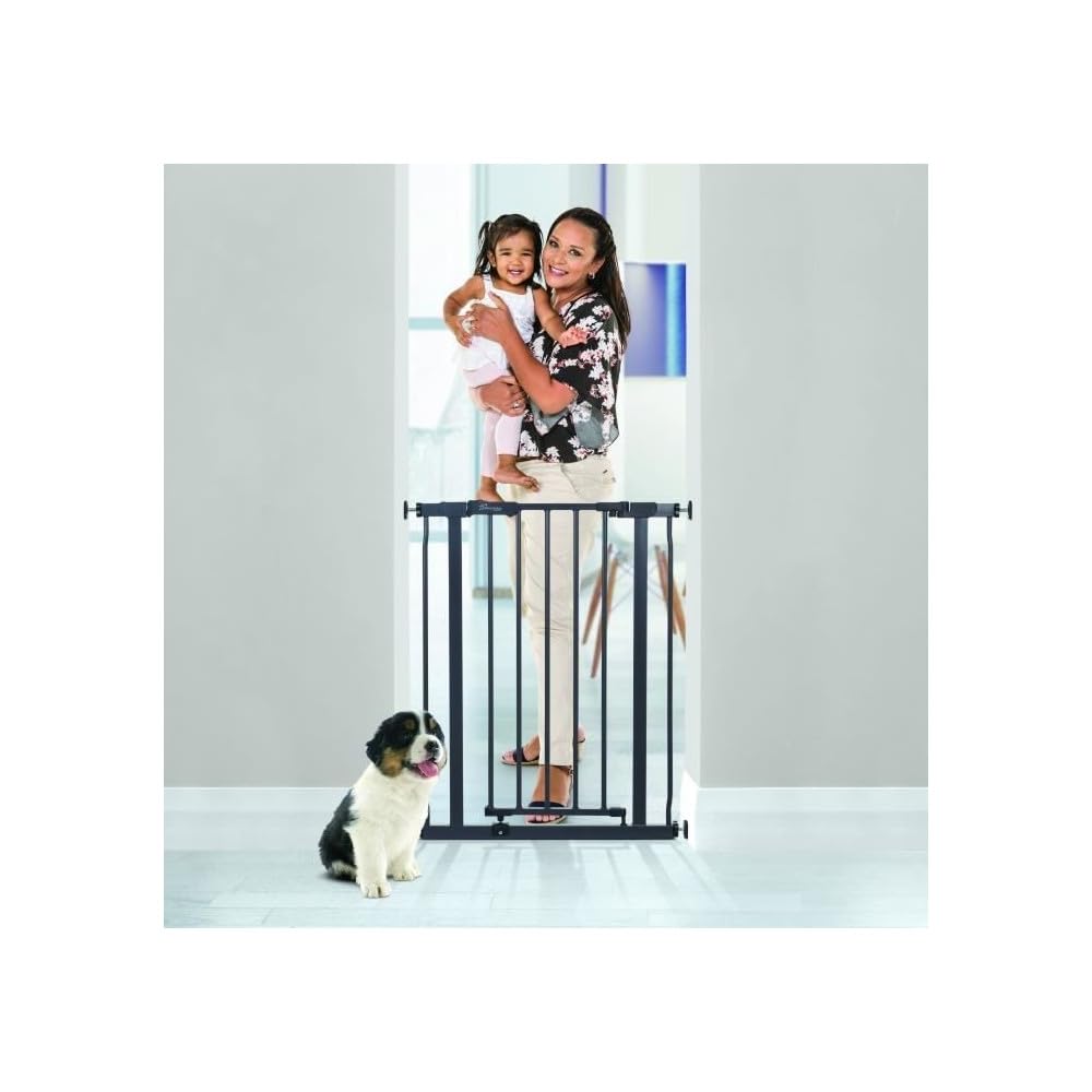 Dreambaby Ava Slimline bramka bezpieczeństwa dla niemowląt - bezpieczna i wysuwana brama ciśnieniowa dla schodów i psów - 61-68 cm szerokości i 76 cm wysokości - węgiel drzewny