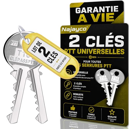 LOT 2 CLÉ PASS PTT T10 T SPÉCIAL LIVREURS ET FACTEURS | POUR SERRURES DE BOÎTES AUX LETTRES ET PORTES D’IMMEUBLES | GARANTIE A VIE !!!