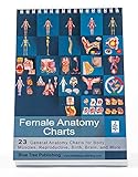 Female Anatomy (Flip Chart)