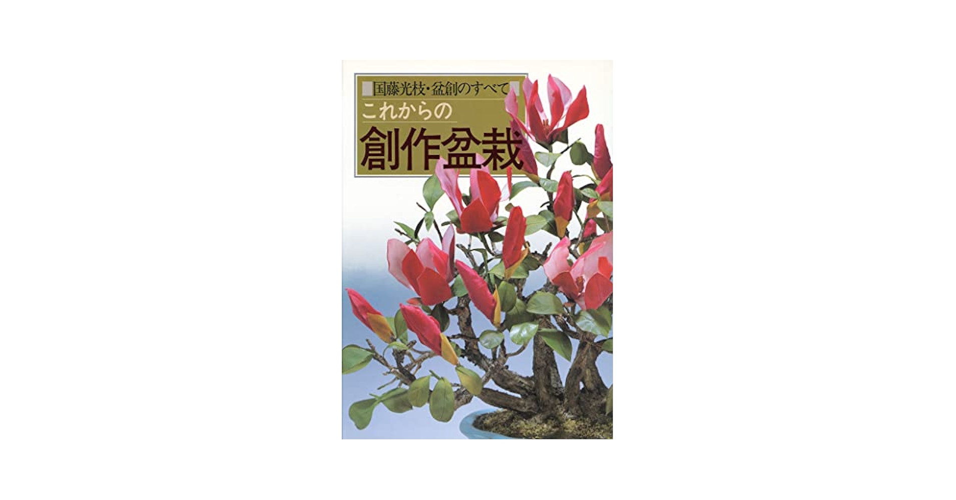 これからの創作盆栽—国藤光枝・盆創のすべて これからの創作盆栽: 国藤光枝・盆創のすべて | 国藤 光枝 |本