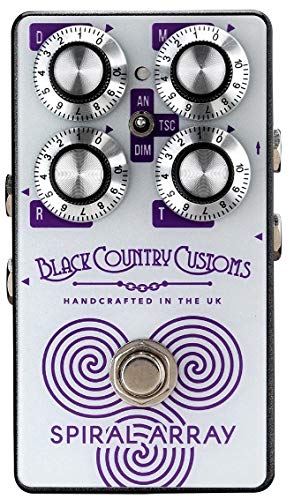 Amazon | Laney (レイニー) Black Country Customs ギター