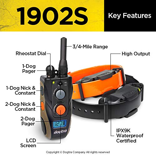 Dogtra 1902S 2-Dogs Remote Training Collar - 3/4 Mile Range, Ipx9K Waterproof, Rechargeable, 127 Training Levels, Vibration - Includes Petstek Dog Training Clicker #TOP3