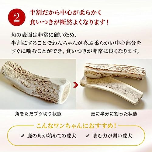 プレシカ 鹿の角 半割り2本セット (Lサイズ 中型犬用)