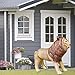Jet Creations Inflatable Male Lion with Mane Stuffed Animal, Standing – Ideal for Safari or Wildlife Theme Parties, Favors, and Decorations, Size 36 inch Long, an-Lion, Tan