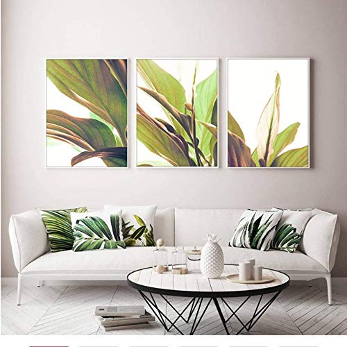Décoration art affiches plantes vertes toile peinture salon 50x70
