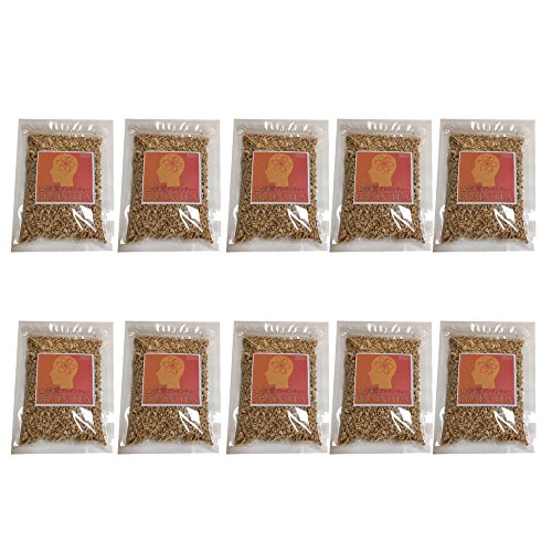 山伏茸(ヤマブシタケ) ブレインティー 80g*10袋セット 無着色 無添加 残留農薬試験 201全項目不検出