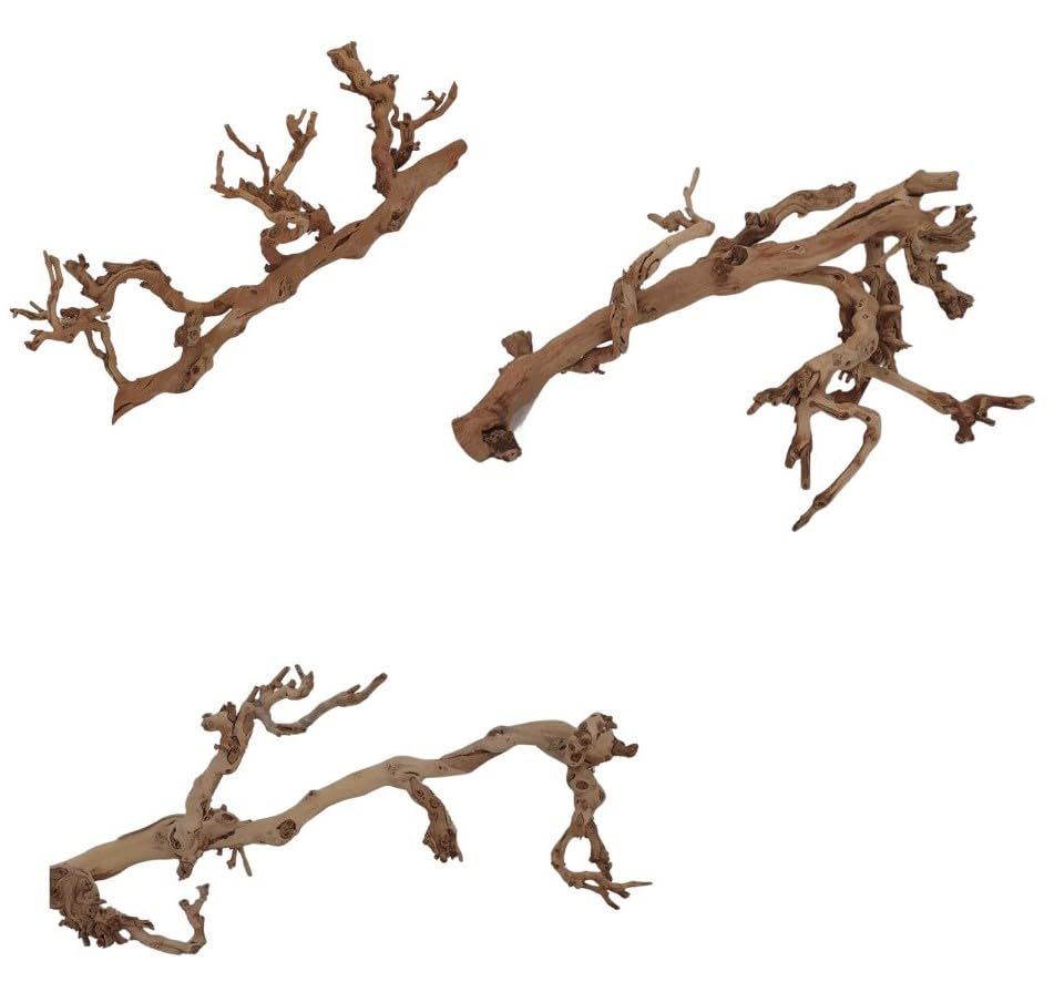 SAHAWA Weinreben, Rebenholz, verästelt, sandgestrahlt, Verschiedene Größen, Sitzstange...